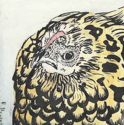 Mahala the Chicken Stalker | Seattle Artist League