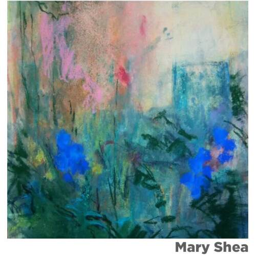 mary shea